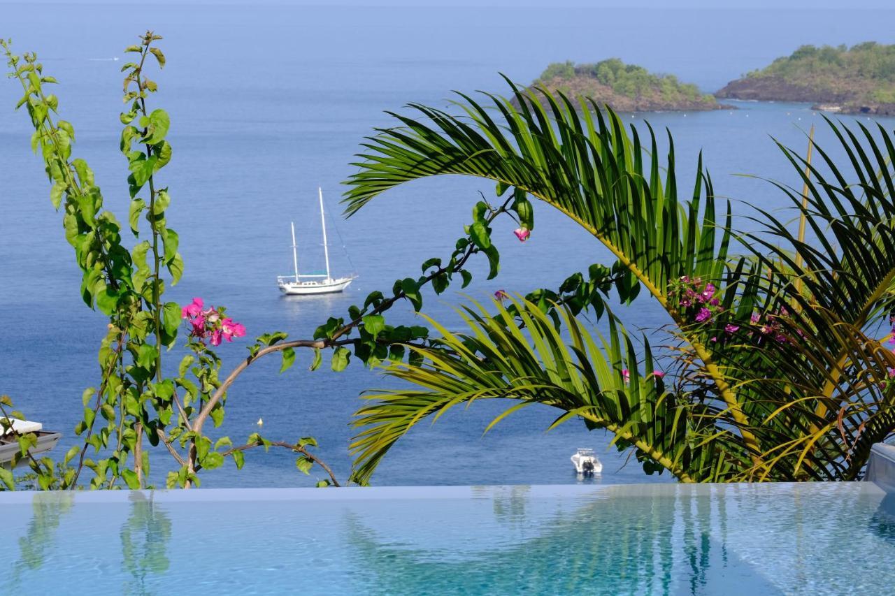 Sunset Palm - Villa Creole Avec Piscine Face Au Coucher De Soleil Et A La Reserve Cousteau Bouillante Luaran gambar