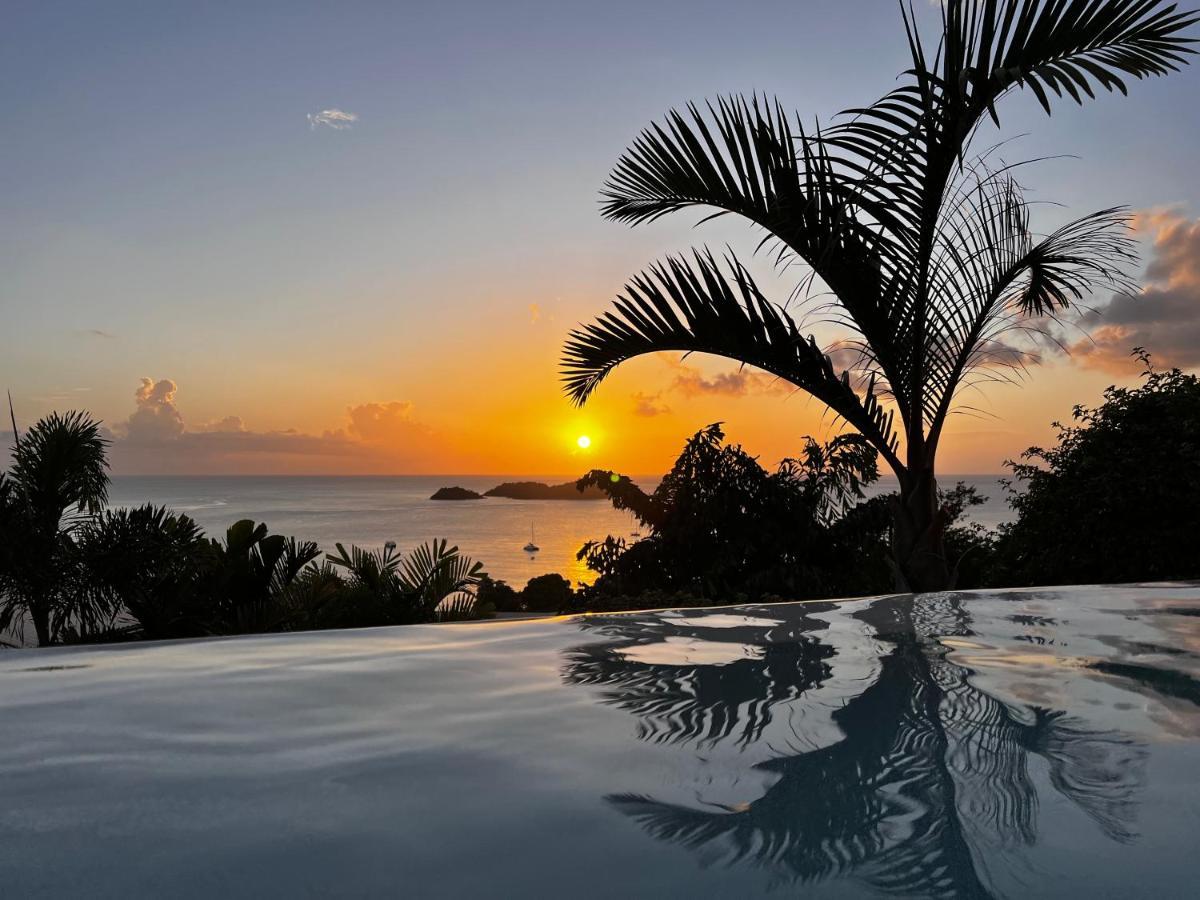 Sunset Palm - Villa Creole Avec Piscine Face Au Coucher De Soleil Et A La Reserve Cousteau Bouillante Luaran gambar